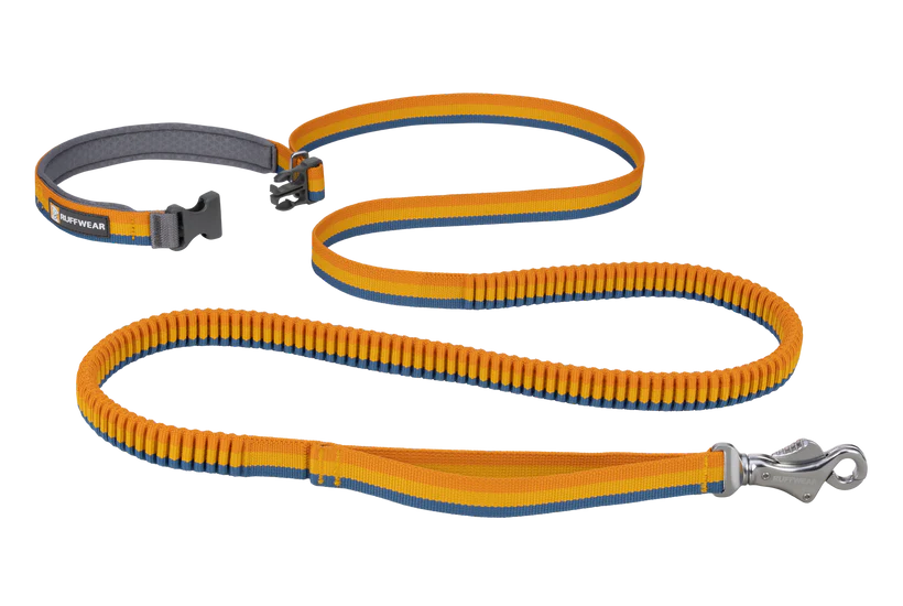 Ruffwear Roamer Leash