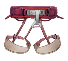 Load image into Gallery viewer, Petzl Corax Harness
