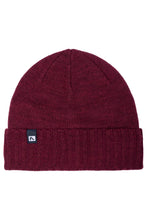 Load image into Gallery viewer, Flylow Forecaster Beanie
