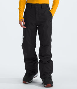 The North Face Men's Freedom Insulated Pant